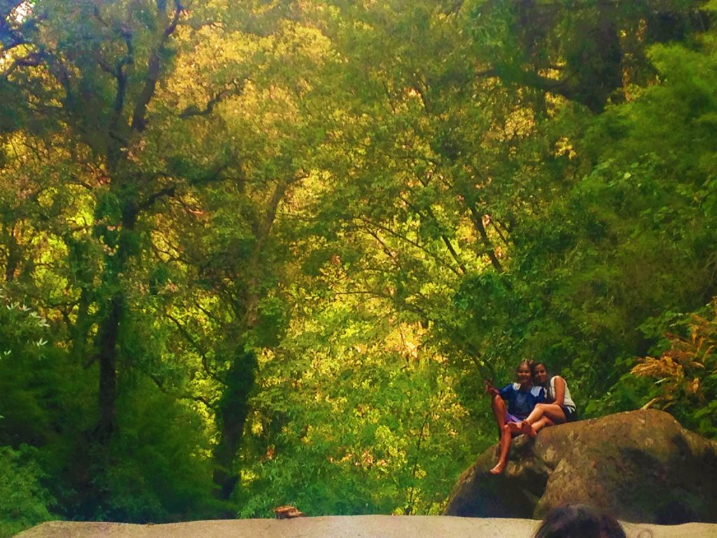 Bir, Himachal Pradesh, waterfall