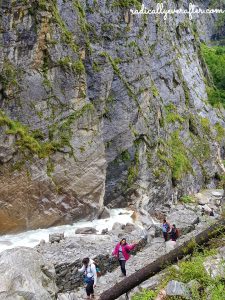 Valley of Flowers, North India, Shivering Bridge, Uttarakhand