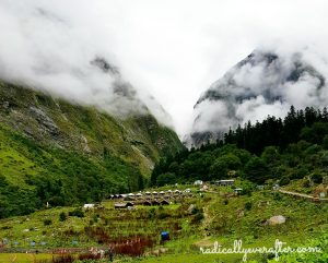 Valley of Flowers, Chamoli, Uttarakhand, North India, 