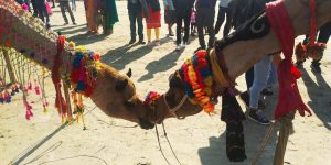 Dwijing River Festival, Bodoland, India