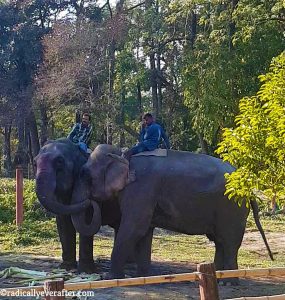 Manas National Park, Bodoland