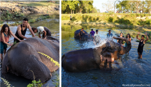 Manas National Park, Bodoland, Assam