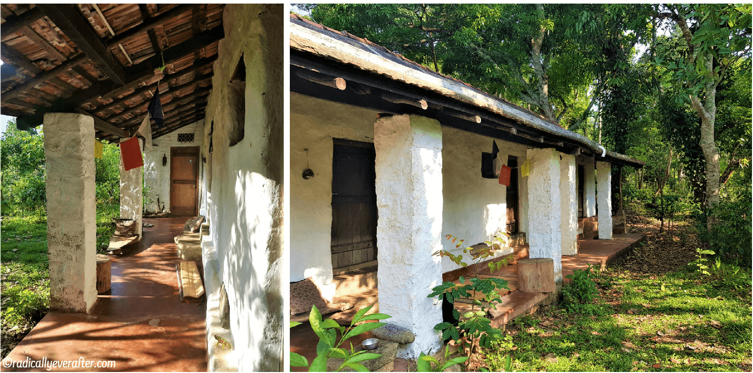 Farmwork at Sholai School, Kodaikanal - Radically Ever After