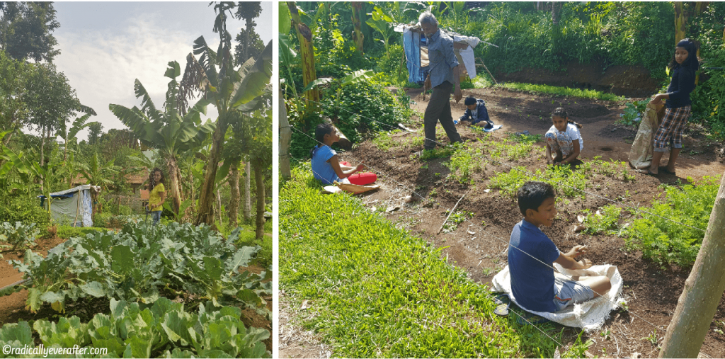 Organic Farms, Sholai School, Kodaikanal